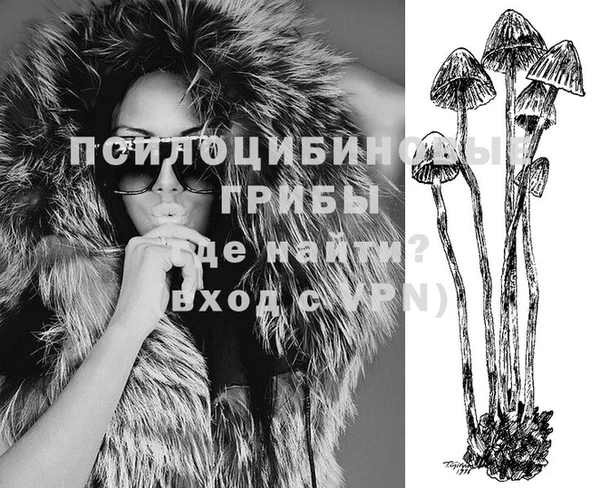 гашик Белокуриха