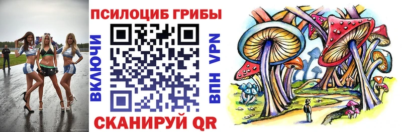 kraken   Пыть-Ях  Галлюциногенные грибы MAGIC MUSHROOMS 
