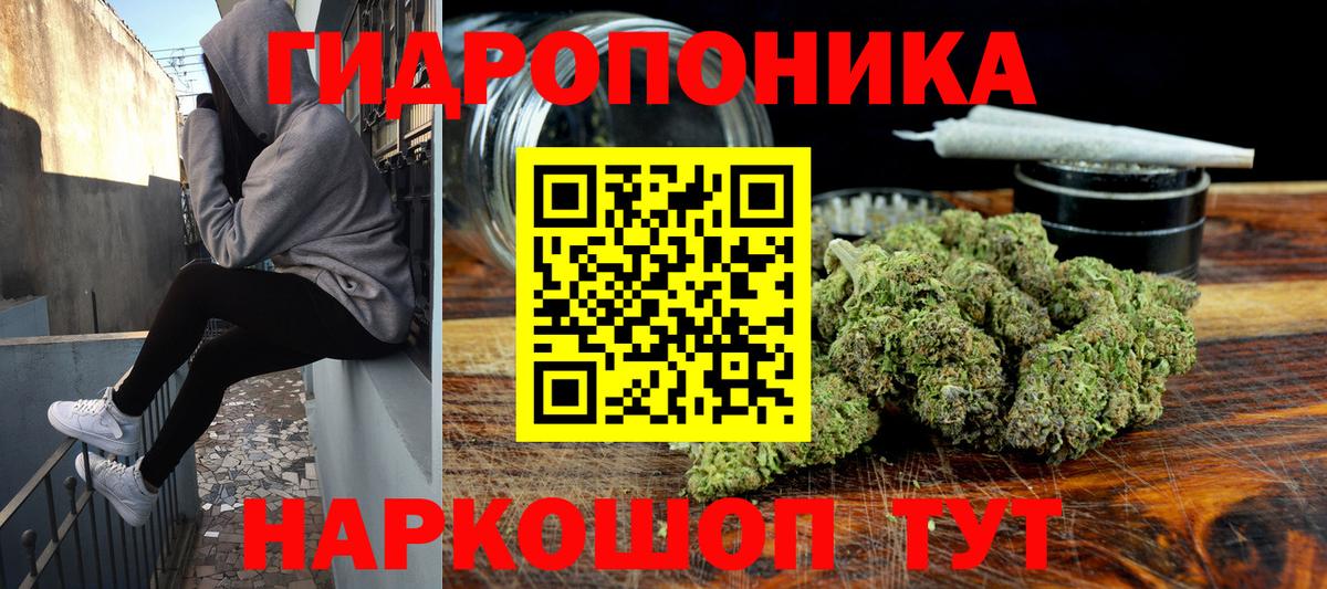 Бошки Шишки индика  Вход с VPN  Канабис гибрид  Каннабис SATIVA & INDICA  Бошки Шишки Bruce Banner  Пыть-Ях 