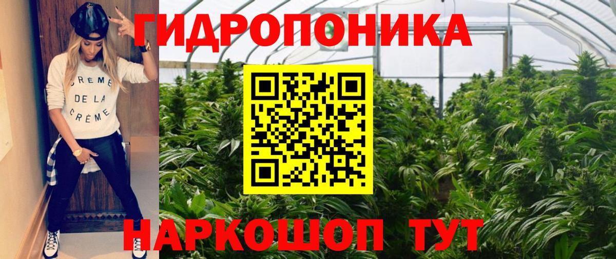 Шишки марихуана гибрид Пыть-Ях